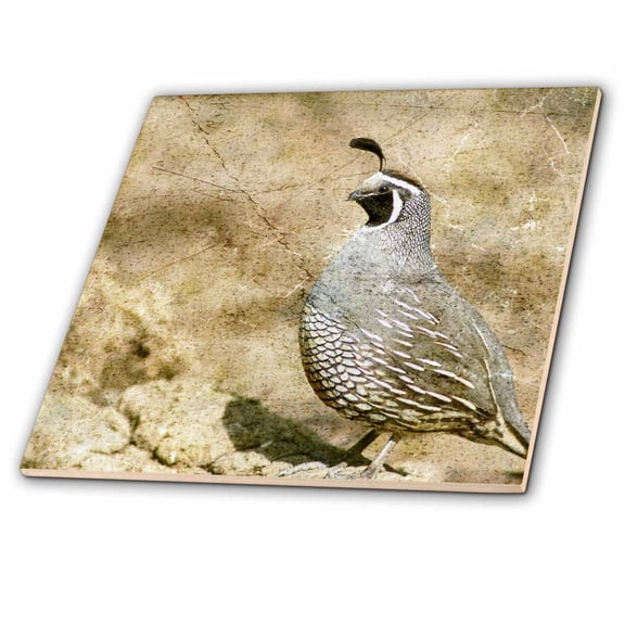 3dRose, California Quail With Textures, 12 Inch Ceramic Tile
