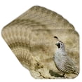thumbnail image 1 of 3drose, California Quail with Textures, Set of 8 Coasters - Soft, 1 of 7