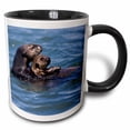 thumbnail image 1 of 3drose, California Sea Otter, Moss Landing, California - Us05 Jgs0199 - Jim Goldstein, 15oz Two-tone Black Mug, 1 of 6