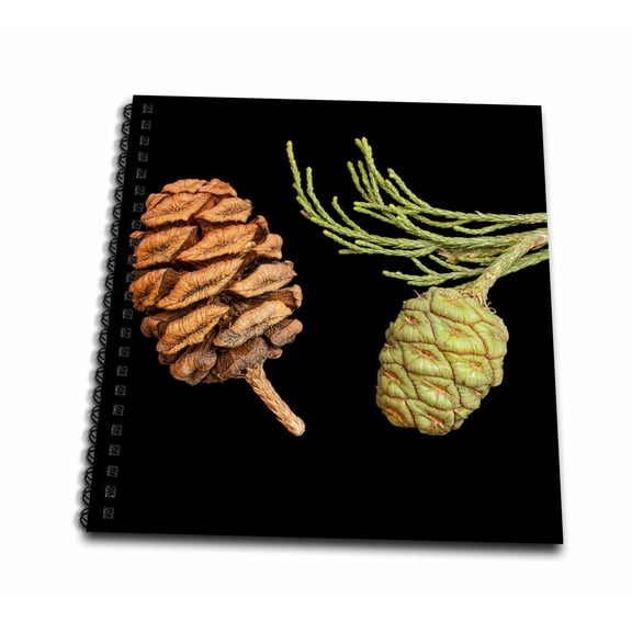 3dRose, California, Sequoia National Park, Giant sequoia cones, Mini Notepad 4 x 4 inch