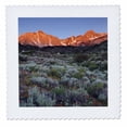 thumbnail image 1 of 3dRose, California, Sierra Nevadas, Wildflowers - US05 BJA0482 - Jaynes Gallery, 20x20 inch quilt square, 1 of 1