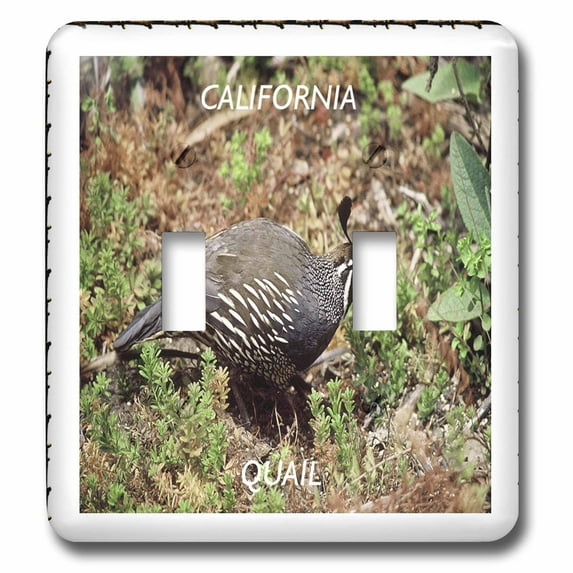 3dRose, California State Bird Quail, double toggle switch