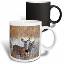 3drose, California, Mule Deer Wildlife - Us05 Bja0206 - Jaynes Gallery, 11oz Magic Transforming Mug