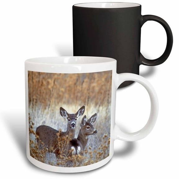 3drose, California, Mule Deer Wildlife - Us05 Bja0206 - Jaynes Gallery, 11oz Magic Transforming Mug