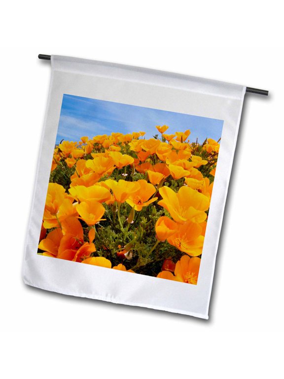 , California poppies, San Simeon SP, California - US05 PCL0008 - Paul Colangelo, 12 x 18 inch Garden Flag