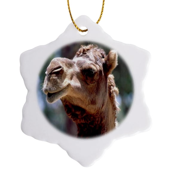 3dRose, Camel Face Cutie, 3 inch Snowflake Porcelain Ornament