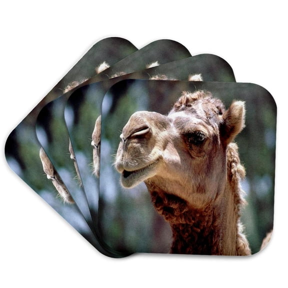 3dRose, Camel Face Cutie, Set of 4 Coasters - Soft