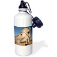 thumbnail image 1 of 3dRose, Camel chewing on the wood post, Flip Straw 21oz Water Bottle, 1 of 3