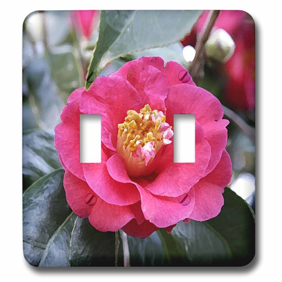 3dRose, Camellia Japonica Flower, double toggle switch