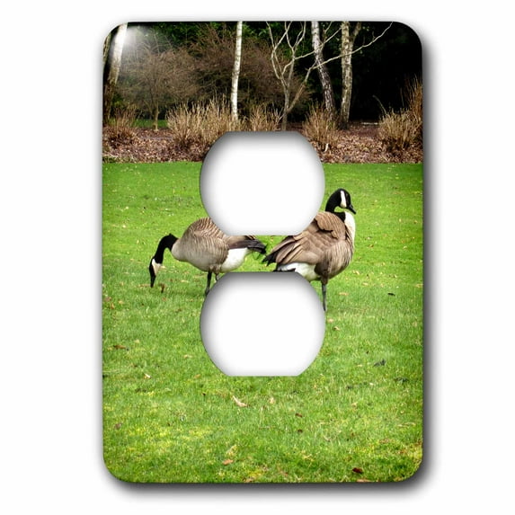 3dRose, Canada Geese Grazing on the Lawn, 2 plug outlet cover
