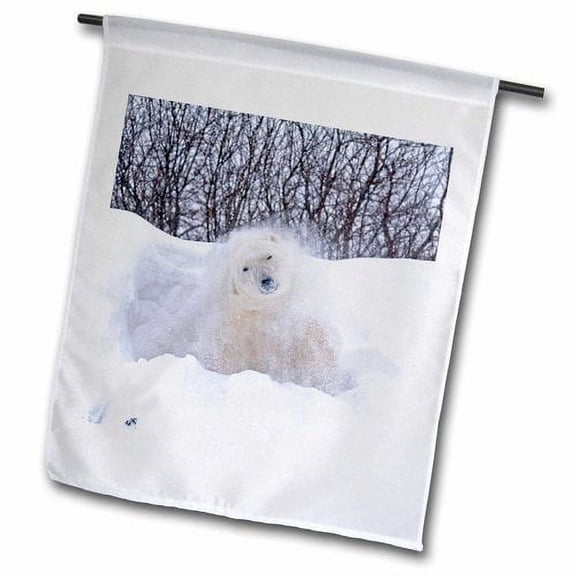 3dRose, Canada, MB, Churchill. Polar bear shaking snow off on frozen tundra., 12 x 18 inch Garden Flag