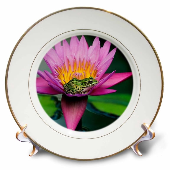3dRose, Canada, Manitoba, Winnipeg. Northern leopard frog in lily pad flower., 8 inch Porcelain Plate