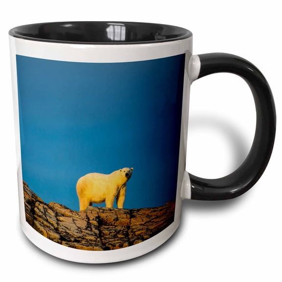 3drose, Canada, Nunavut Territory, Adult Male Polar Bear Standing, 11oz Two-tone Black Mug