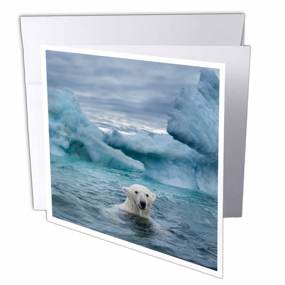 3dRose, Canada, Nunavut Territory, Repulse Bay, Polar Bear near icebergs., 1 Greeting Card with envelope