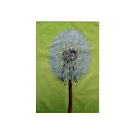 3dRose, Canada, Vancouver Island. Dandelion, 15x22 Hand Towel