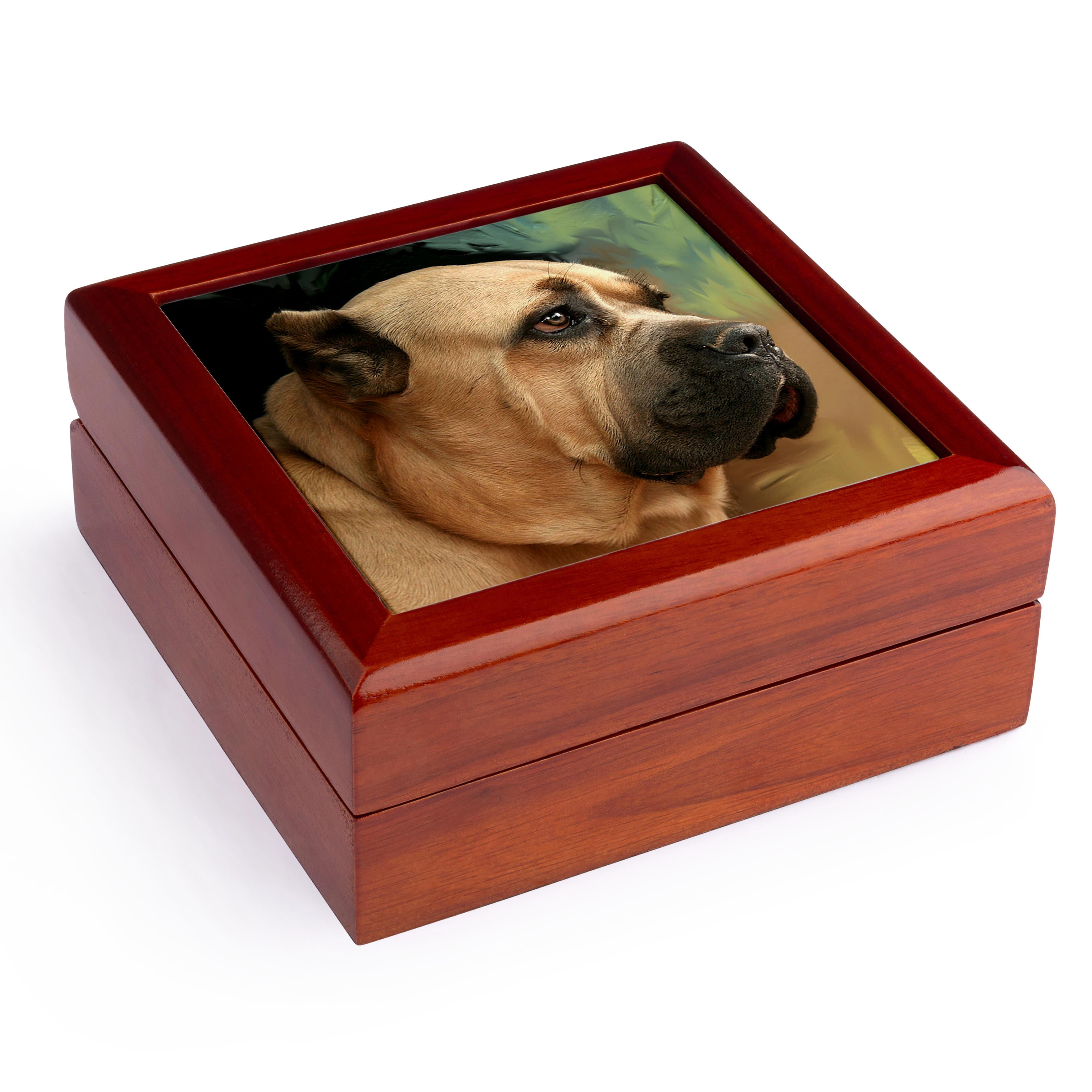 3dRose, Cane Corso, Jewelry Box 5.5x5.5 inch with 4 inch tile