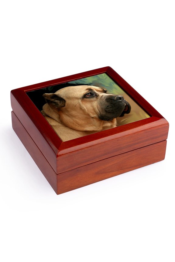 , Cane Corso, Jewelry Box 5.5x5.5 inch with 4 inch tile