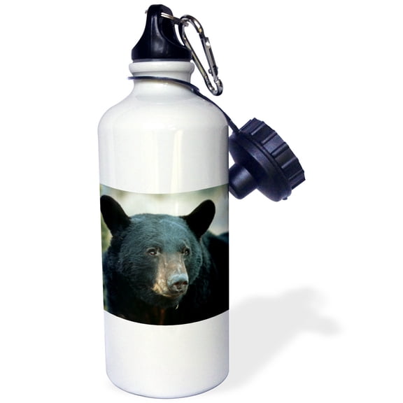 3dRose, Captive Black Bear, Ursus americanus, Montana , Flip Straw 21oz Water Bottle