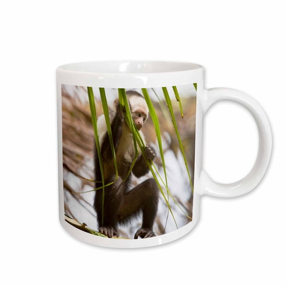 3drose, Capuchin Monkey, Osa Peninsula, Costa Rica - Sa22 Jgs0010 - Jim Goldstein, 11oz Mug