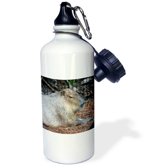 3dRose, Capybara Animal Side View , 21 oz Sports Water Bottle