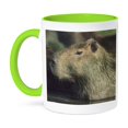 thumbnail image 1 of 3dRose, Capybara wildlife, Llanos, Venezuela - SA20 KSC0009 - Kevin Schafer, 11oz Two-Tone Green Mug, 1 of 7
