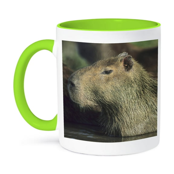 3dRose, Capybara wildlife, Llanos, Venezuela - SA20 KSC0009 - Kevin Schafer, 11oz Two-Tone Green Mug