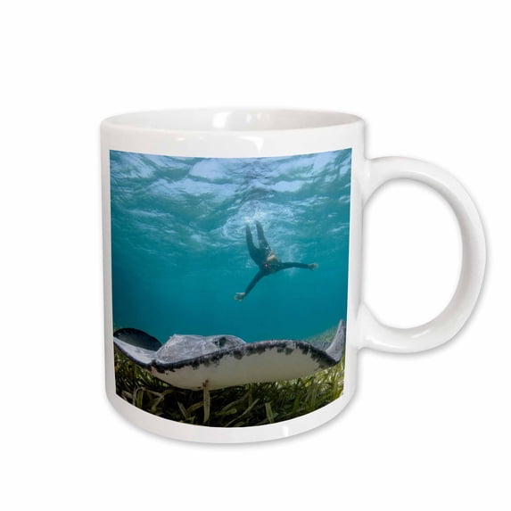 3drose, Caribbean Whiptail Ray and Snorkeler, Shark Ray Alley, Belize, 15oz Mug
