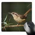 thumbnail image 1 of 3dRose, Carolina Wren bird on Agarita, Hill Country Texas - NA02 RNU0063 - Rolf Nussbaumer, MousePad, 1 of 7