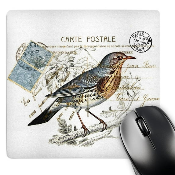 3dRose, Carte Postale Vintage Bird, MousePad