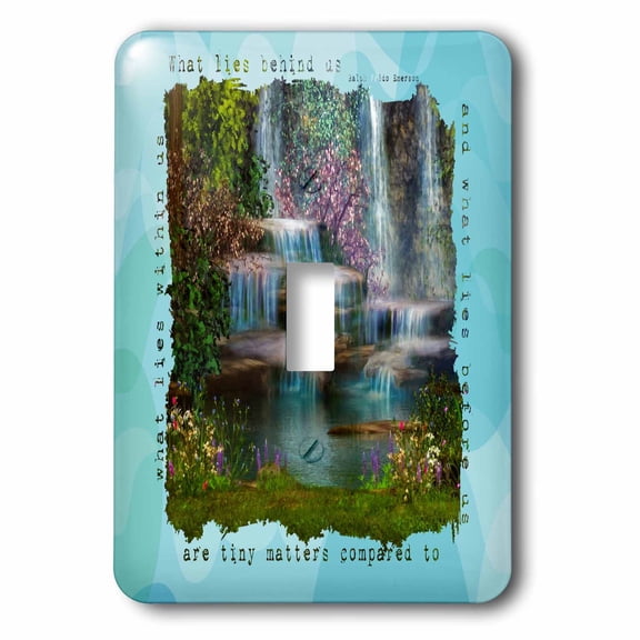 3dRose, Cascading Words of Wisdom, single toggle switch