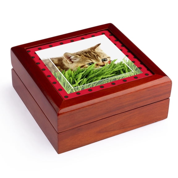 3dRose, Cat Hunting Ladybug, Jewelry Box 5.5x5.5 inch with 4 inch tile