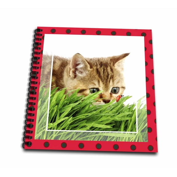 3dRose, Cat Hunting Ladybug, Mini Notepad 4 x 4 inch