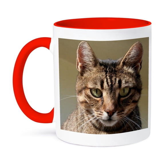 3dRose, Cat Tabby Cat Outside, 11oz Two-Tone Red Mug