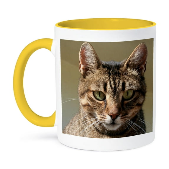 Cat Tabby Cat Outside, 15oz Two-Tone Yellow Mug