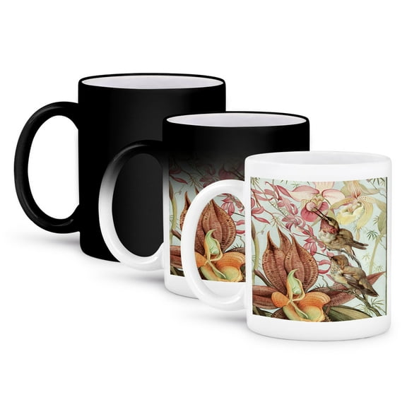 3dRose, Catasetum and Cypridediums by Edward J. Detmold Orchid and Hummingbirds, 11oz Magic Transforming Mug