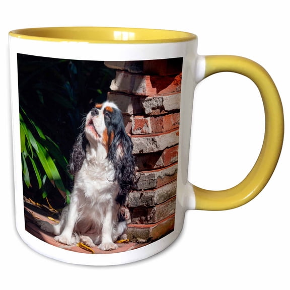 3drose, Cavalier King Charles Spaniel Puppy Howing, 15oz Two-tone Yellow Mug