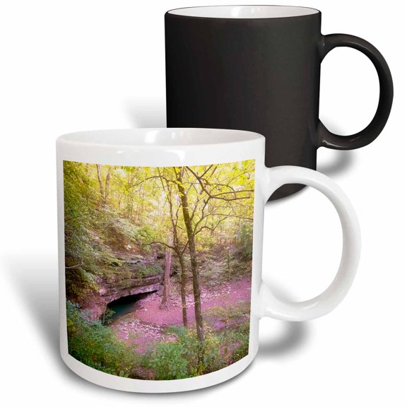 3drose, Cave View from Mammoth Cave National Park, 11oz Magic Transforming Mug
