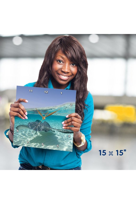 , Cayman Islands, Southern Stingray in Caribbean Sea-CA42 PSO0047 - Paul Souders, 15x15 Wall Clock
