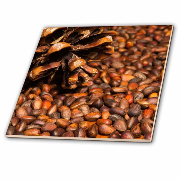 3dRose, Cedar nuts and a cedar cone. Brown colors, 4 Inch Ceramic Tile
