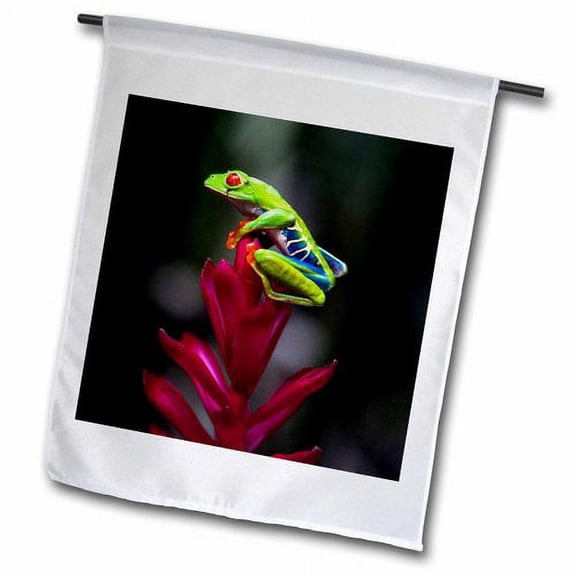 3dRose, Central America - Red-eyed Tree Frog. Sarapiqui., 12 x 18 inch Garden Flag