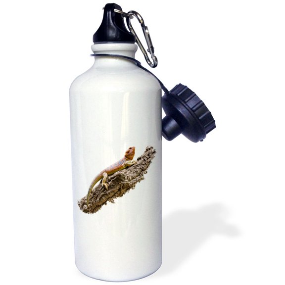 3dRose, Central Bearded Dragon Lizard Reptile Pogona vitticeps on branch, Flip Straw 21oz Water Bottle