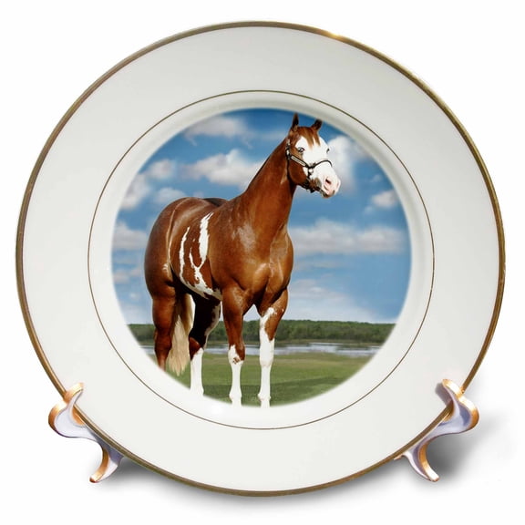 3dRose, Champion Paint Quarter Horse, 8 inch Porcelain Plate