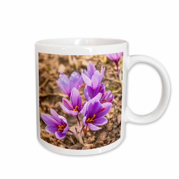 3drose, Chanda Haro, Pampore, Jammu and Kashmir, India., 11oz Mug