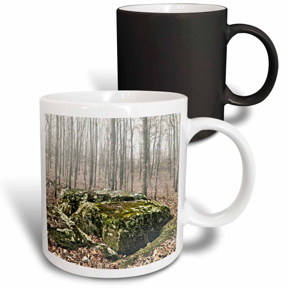3drose, Checker Board of Boulders in Monte Sano State Park, 11oz Magic Transforming Mug