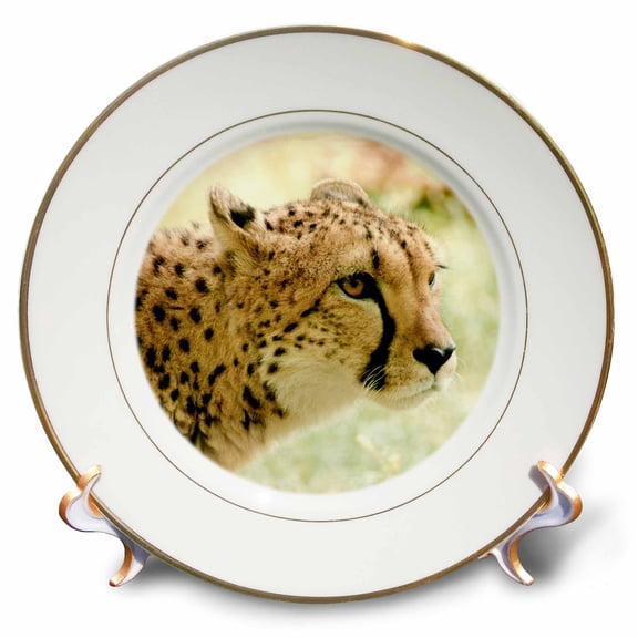 3dRose, Cheetah, 8 inch Porcelain Plate