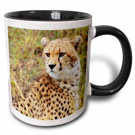 3drose, Cheetah Face, Closeup, Tanzania, 11oz Two-tone Black Mug