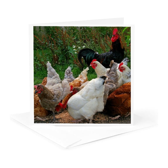 3drose, Chicken and Rooster., 1 Greeting Card with Envelope