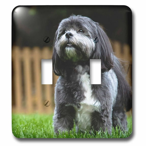 3dRose, Chih Tzu. Black and white. Popular breed. Best friend., double toggle switch