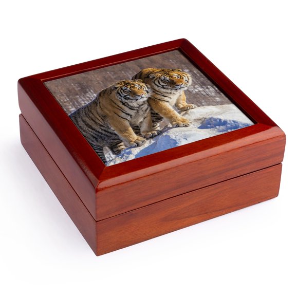 3dRose, China. Captive Siberian tigers Closeup., Jewelry Box 5.5x5.5 inch with 4 inch tile