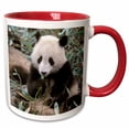 thumbnail image 1 of 3drose, China, Chengdu, Panda Sanctuary, Panda Bear-as07 Cmi0105 - Cindy Miller Hopkins, 11oz Two-tone Red Mug, 1 of 6